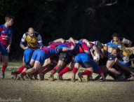 Falconara ko, esulta il Fano Rugby a punteggio pieno