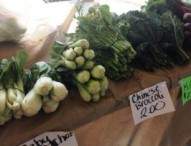 La black list dei cibi stranieri più contaminati, nelle Marche triplicate in 10 anni importazioni frutta extra-UE