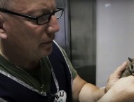 Video reportage sull’attività del Centro recupero animali selvatici