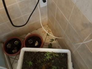 saltara-fano-carabinieri