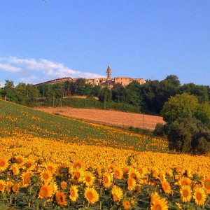 san-vito-san-lorenzo