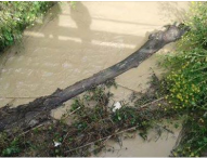 Lista “FareCittà-Barbieri Sindaco”: “A San Gervasio rischio di nuove alluvioni”