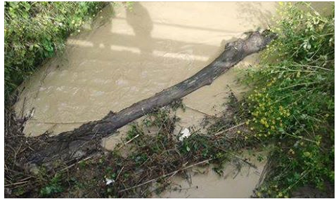 Lista “FareCittà-Barbieri Sindaco”: “A San Gervasio rischio di nuove alluvioni”