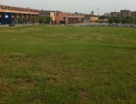 Sfalcio dell’erba lungo le strade provinciali, avviati gli interventi