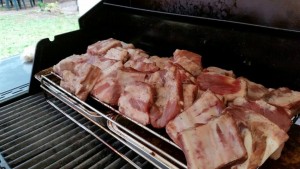 grigliato-mangiato2015-6