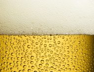 Raddoppiano microbirrifici nelle Marche, bionde in tavola per 670mila marchigiani