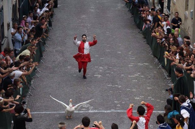 Serra Sant’Abbondio, il Palio della Rocca festeggia 30 anni. Edizione speciale