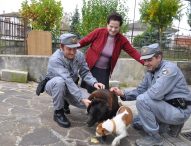 Risolto il giallo dell’orso. L’animale delle foto è Dora, il cane più famoso di Pergola