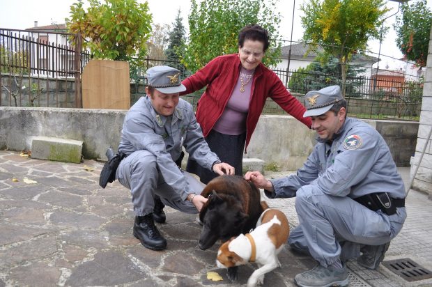 Risolto il giallo dell’orso. L’animale delle foto è Dora, il cane più famoso di Pergola
