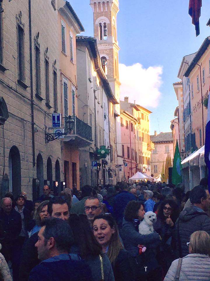 fiera-tartufo-2016-terza-domenica-3