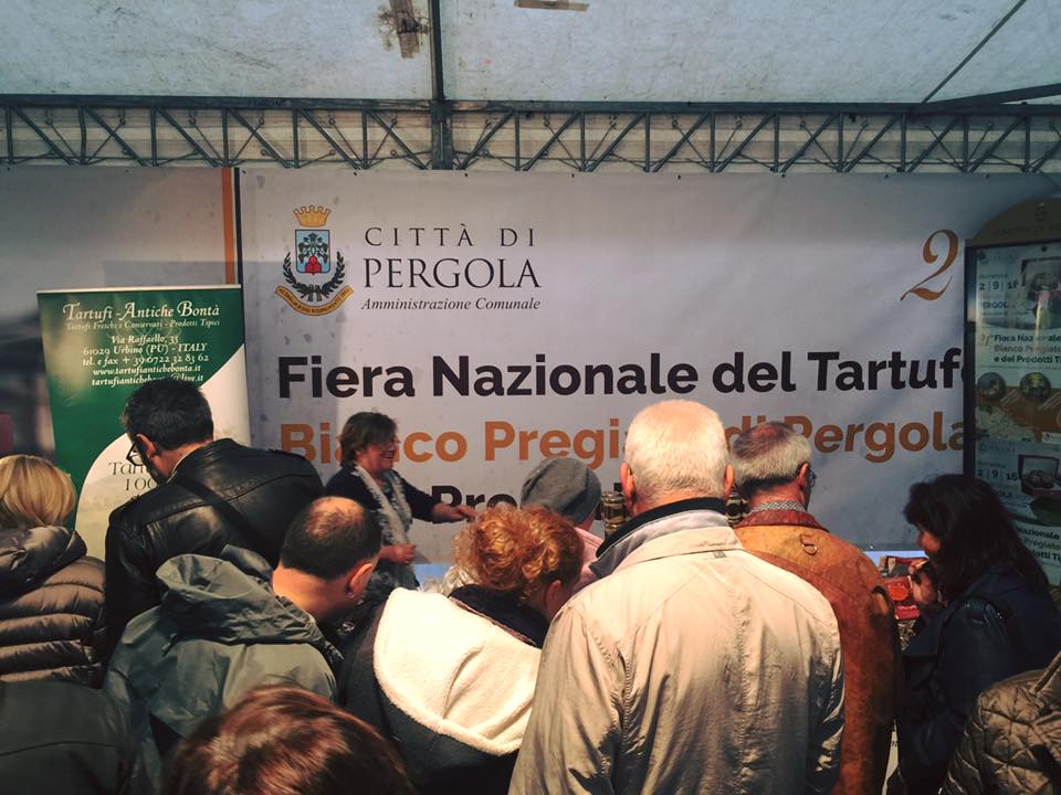 pergola-fiera-tartufo-2016-seconda-domenica-19