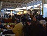 Ultima domenica di gusto al Codma di Fano