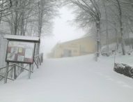 Arriva la neve nelle Marche