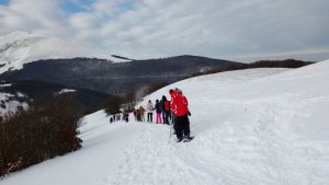 15966219_1979114018986029_4878270323974284406_n