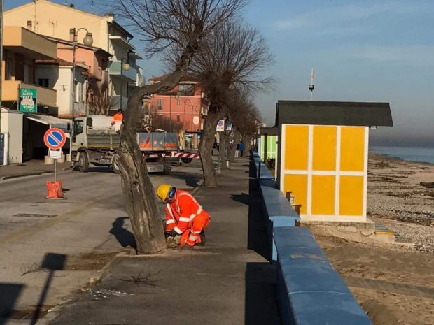Via i tamerici, arriva la “passeggiata”: la Giunta Barbieri cambia volto al lungomare di Marotta