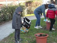 Nontiscordardimè, appuntamento alla Decio Raggi