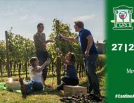 Cantine Aperte per 800mila marchigiani