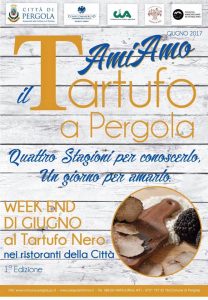 18556231_10212774390945459_818170212031777351_n