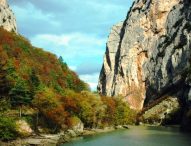 La storica Mille Miglia alla Riserva del Furlo, prova cronometrata e sosta delle auto