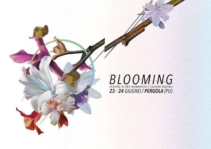Blooming Festival - full bloom