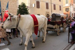 11899791_10207370285326196_214280615906198673_n