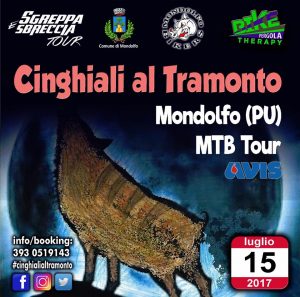 19511423_1395801380475214_5124673458982273402_n