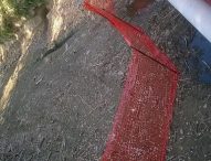 Canale Albani, perimetrata area di sicurezza per la fauna. A breve l’avvio del trasferimento degli anatidi