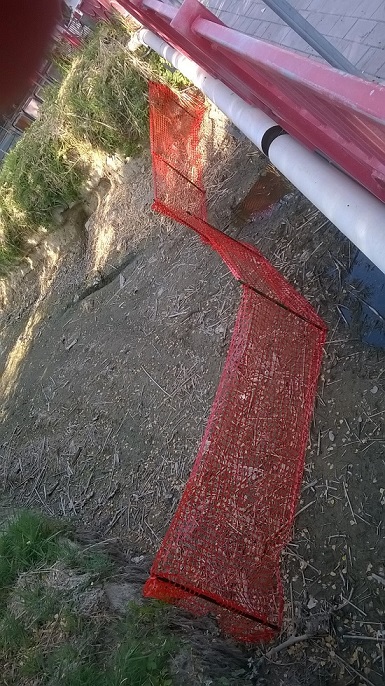 Canale Albani, perimetrata area di sicurezza per la fauna. A breve l’avvio del trasferimento degli anatidi