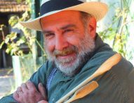 Festival Brodetto: taglio del nastro per la quindicesima edizione