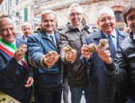 Sant’Angelo in Vado profuma già di tartufo. Il 7 ottobre al via la 54esima Mostra Nazionale