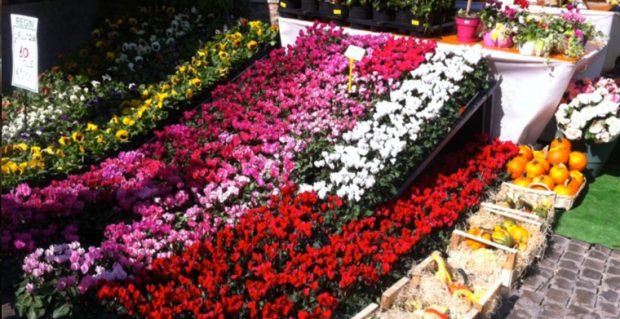 Fano, torna la Festa dei Fiori