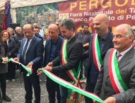 Il Fly Fano Team, Pippo Franco, 9 regioni in vetrina: un successo la prima domenica della Fiera del Tartufo di Pergola