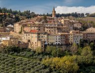 Cartoceto, 41esima Mostra Mercato dell’Olio e dell’Oliva: programma ricchissimo