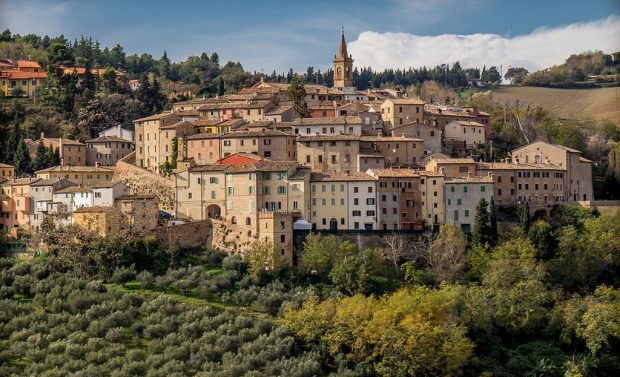 Cartoceto, 41esima Mostra Mercato dell’Olio e dell’Oliva: programma ricchissimo