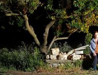 Caporalato, Arianna Gambaccini è la protagonista del film “La giornata”