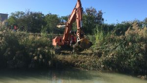 arzilla bonifica gru