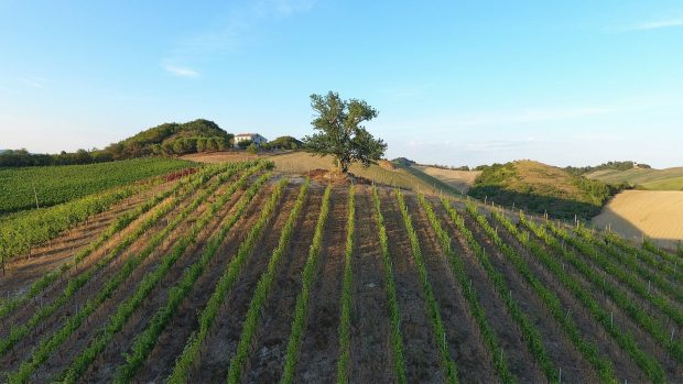 Alla cantina La Montata una degustazione speciale