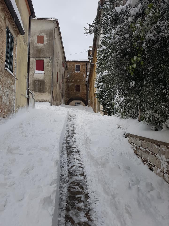 28279240_10211911797645838_207484659008375347_n