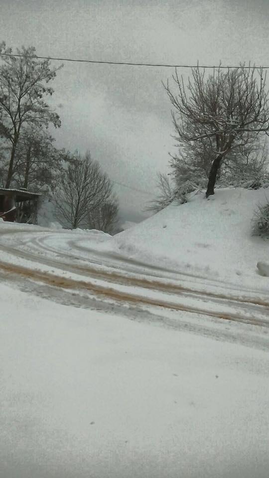 28377760_10215294534027461_802009390427586257_n