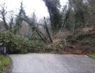 Frane, smottamenti e alluvioni lungo le strade, Provincia si prepara a chiedere stato di emergenza