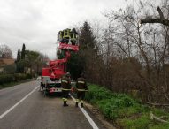 Maltempo, frane e alberi pericolanti: la situazione di tutte le strade