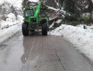 Maltempo, strade provinciali: criticità per ghiaccio e rimozione piante pericolanti