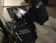 Duro colpo per la pesca illecita di tonno rosso