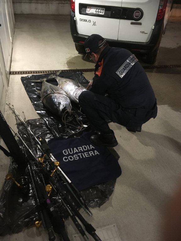 Duro colpo per la pesca illecita di tonno rosso