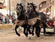 Le opposizioni: “La Fano dei Cesari deve tornare ad essere la manifestazione di punta dell’estate fanese”