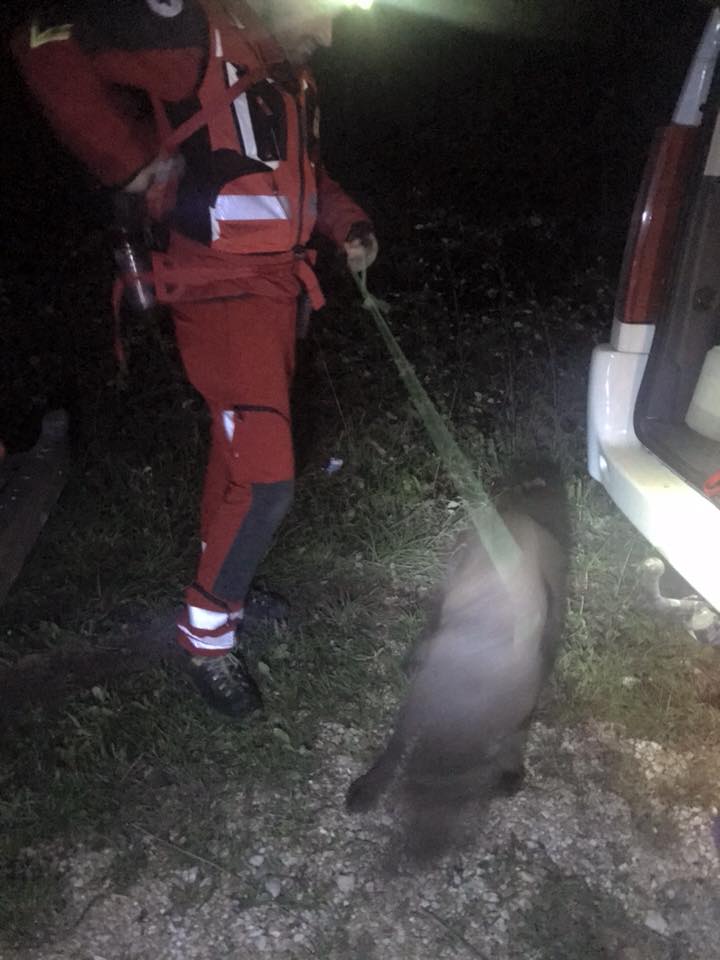 30709778_10215696820564373_3370843243326472192_n