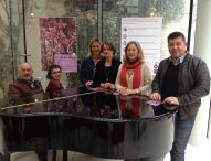 Arte, danza, musica, poesia e degustazioni: torna a Fano La Via dei Ciliegi