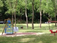 Riserva del Furlo, un’altalena accessibile nell’area giochi della “Golena”