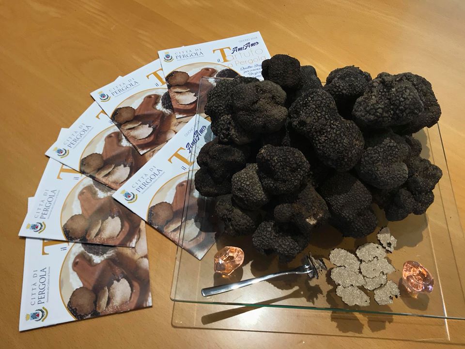 34482509_10216081863150197_3726099547659698176_n