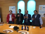 5 week-end per degustare il tartufo nero estivo e i migliori vini locali, torna AmiAmo il Tartufo a Pergola